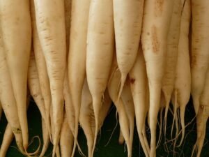 radish